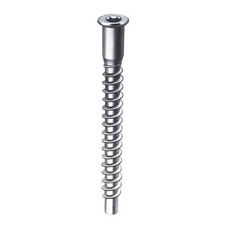 WOOD SCREWS 5X50 PAVONADO