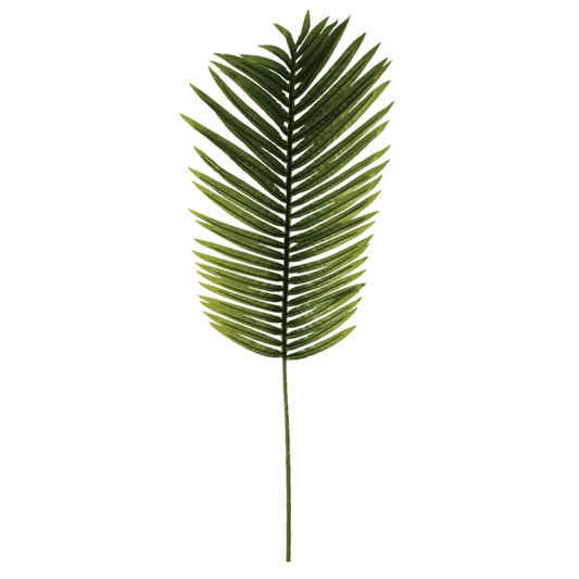 PALM LEAF STEM H113