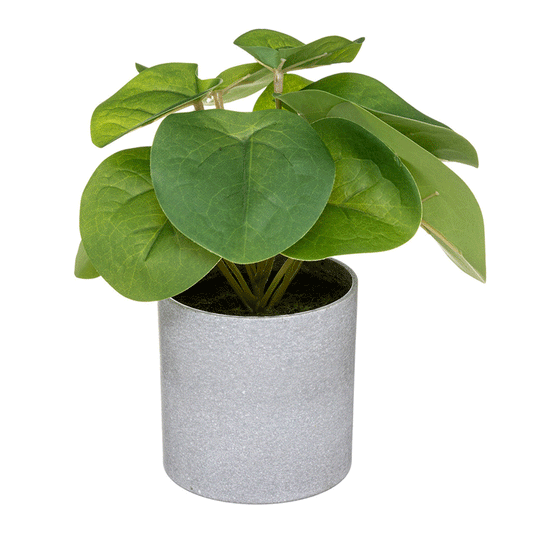 PLANTE POT MELAMINE 18CM