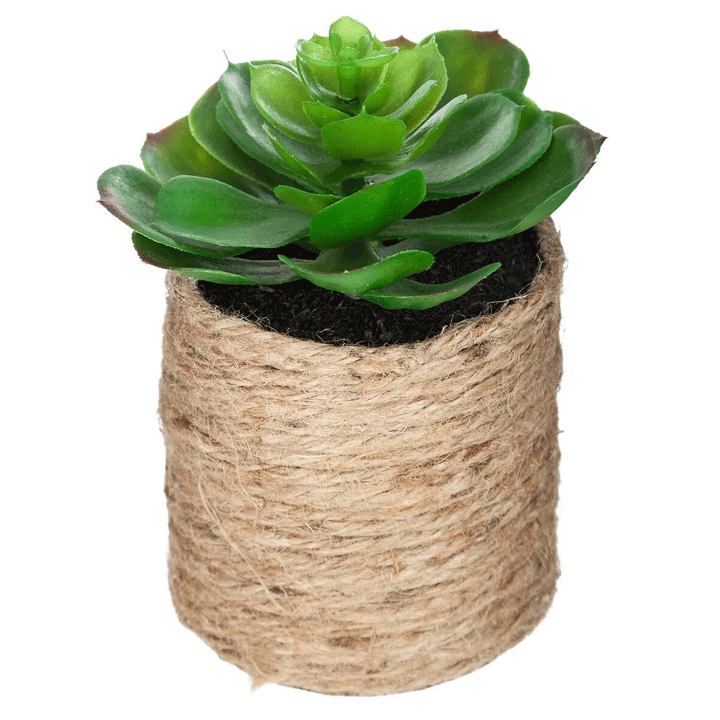 GREEN PLANT ROPE POT H16
