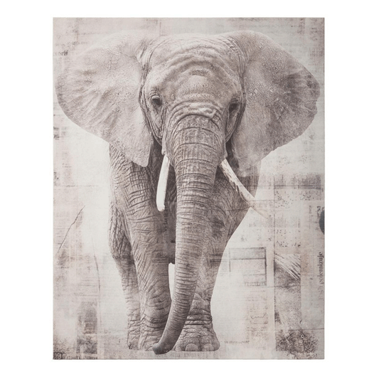 PRINTED CANVAS ELEPHANT 38X48X1,8