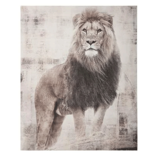 PRINTED CANVAS LION 38X48X1,8