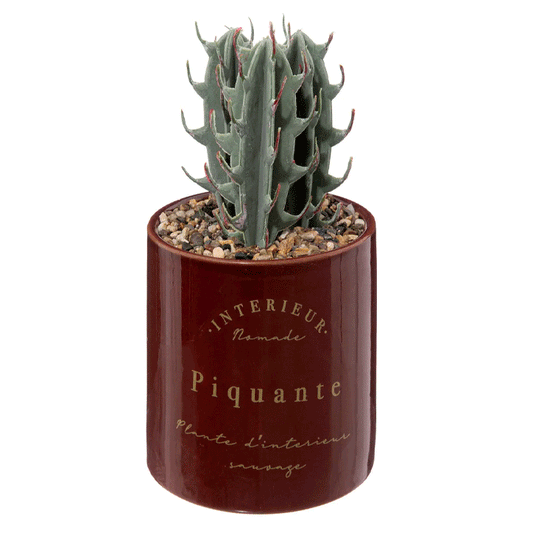 CRMC POT W PLANT BOTA BG