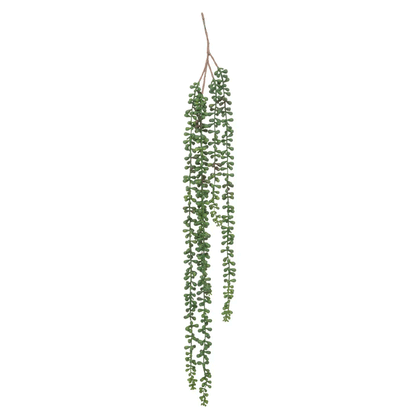FALLING RAGWORT H73