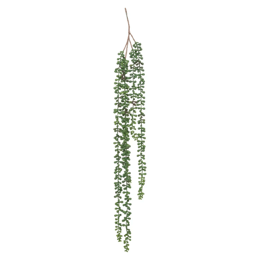 FALLING RAGWORT H73