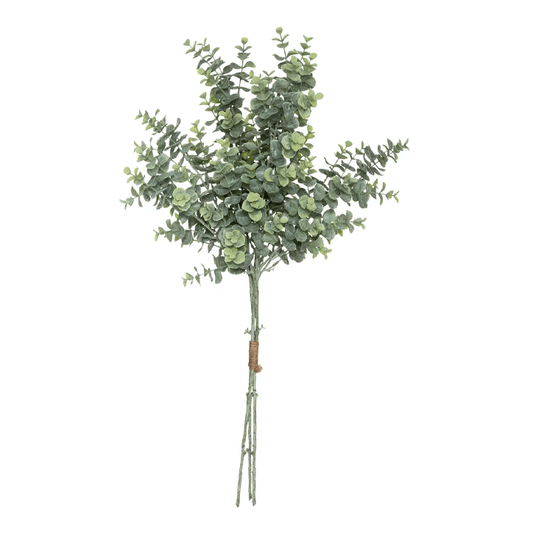 EUCALYPTUS BOUQUET H64