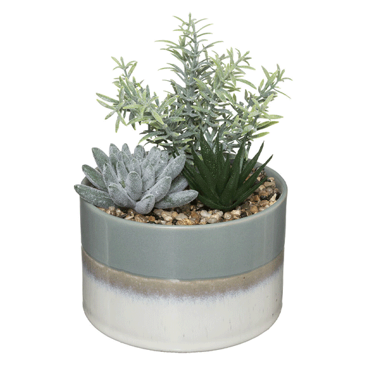 CRMC POT PLANT COMPO ASS H18;5