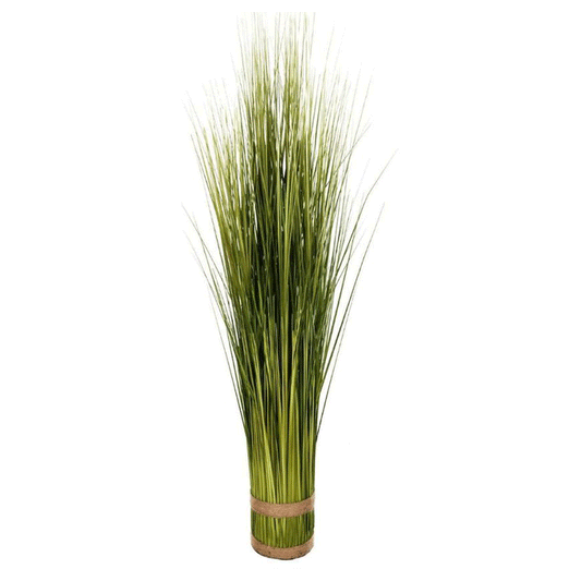 OINION GRASS