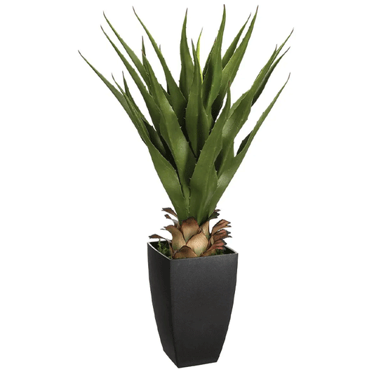AGAVE RECT POT H73