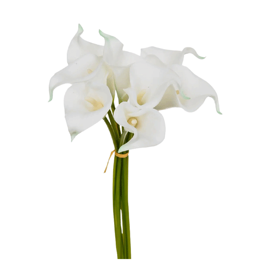 ARUM BOUQUET X8 H36