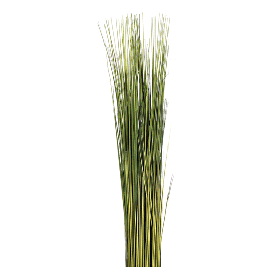 GRASS BUNDLE D8 H79 CM