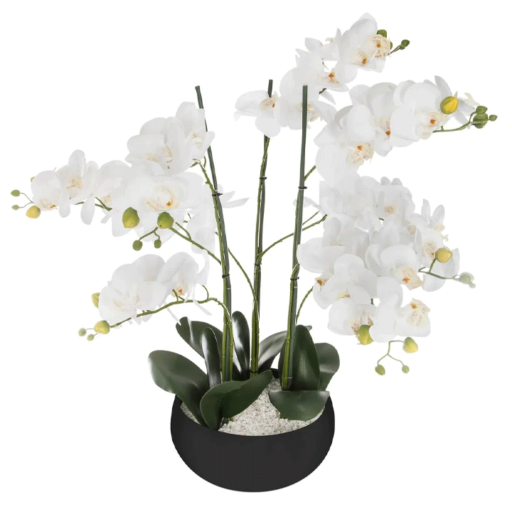 ORCHID BLACK CERAMIC POT H65