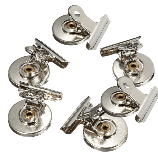 MEMO HOLDER MAGNET STAINLESS DANCING LIFETIME 6PCS