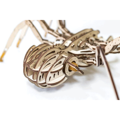CONSTRUCTION KIT OF MECHANICAL MODEL"SPIDER"