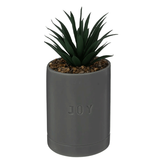 PLANT W/ GREY CRMC POT H20
