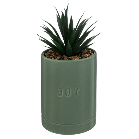 PLANT W/ JADE CRMC POT AVI H20