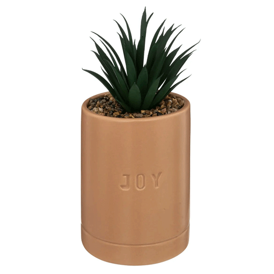 PLANT W/ AMB CRMC POT AVI H20