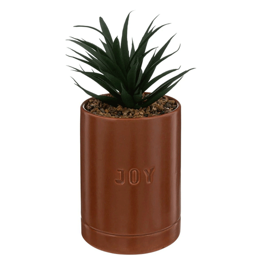 PLANT W/ TOF CRMC POT AVI H20