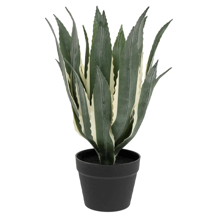 AGAVE PLAST POT USI H55
