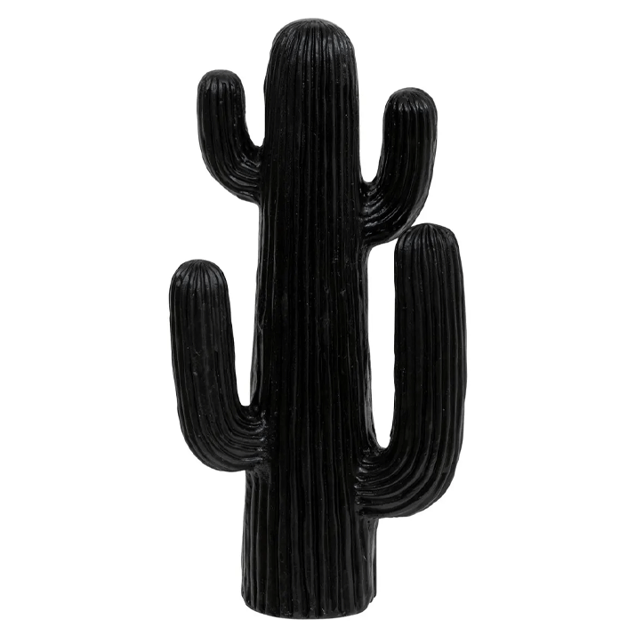 RODRIGO ODM CACTUS H38 OUTDR