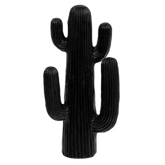 RODRIGO ODM CACTUS H38 OUTDR