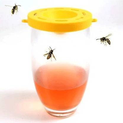 WASP TRAP 3PCS 7,5X9X2,5CM PP GUARD'N CARE DSPLX12