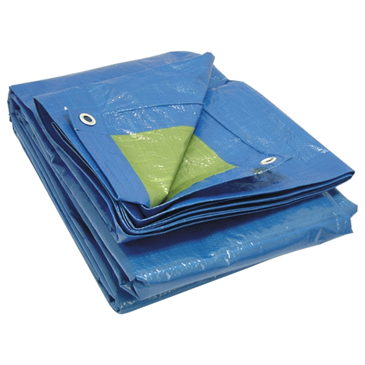 TARPAULIN P.E. BLUE 5X8M