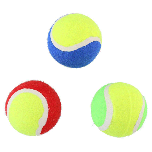 DOG TENNISBALL & DOGFOOT 3PCS
