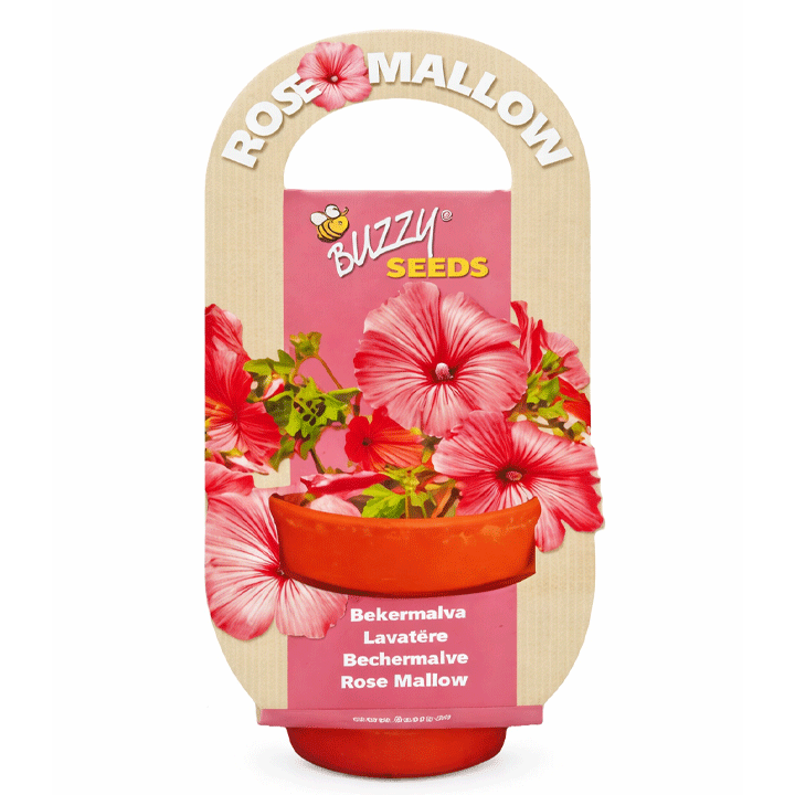 FLOWERING GIFTS ROSE MALLOW