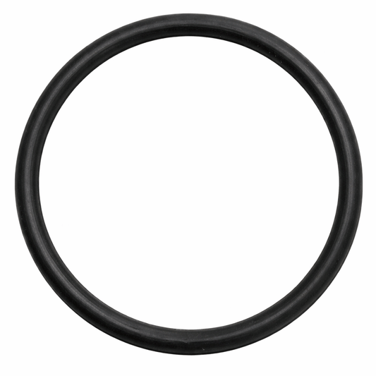 O RING GASKET [FIPRA] 1"