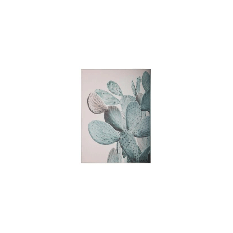 PRINT CANVAS LAM CACTUS 59X79