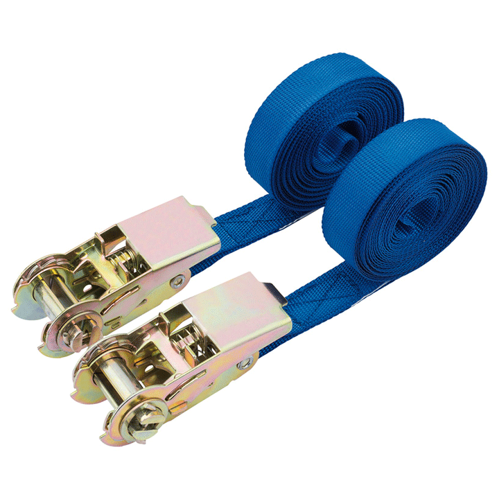 RATCHETING TIE DOWN STRAPS 4.5MX25MM 250KG 2PCS