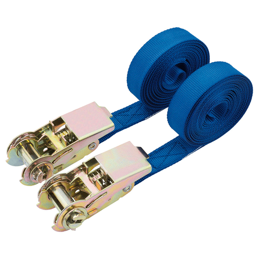 RATCHETING TIE DOWN STRAPS 4.5MX25MM 250KG 2PCS