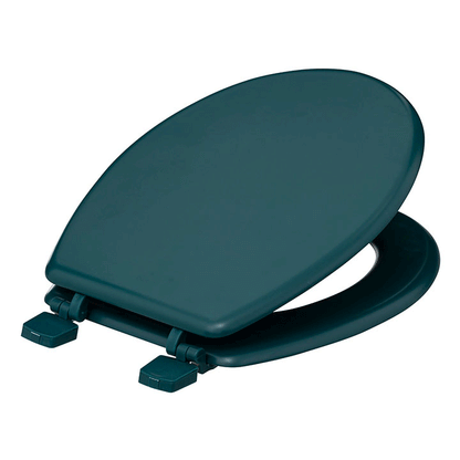 TOILET SEAT PETROLE COLOR