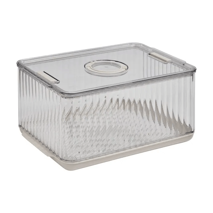 STREAKS TRANSPARENT FRIDGE STORAGE BOX L