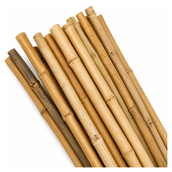 BAMBOO CANES 150CM 10PCS