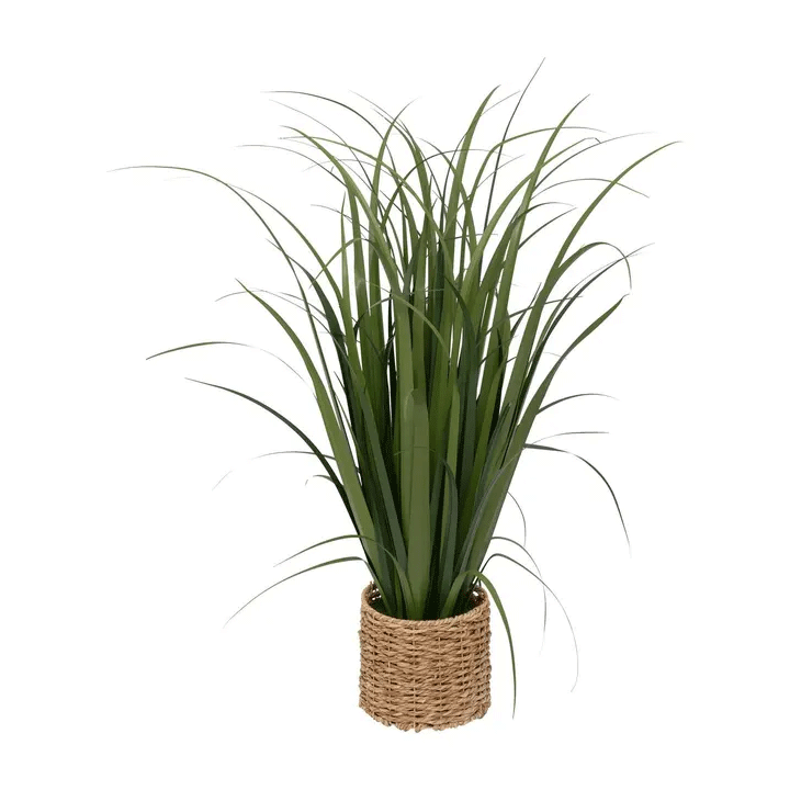 LIN BUNCH W BRAID POT ZYA H122
