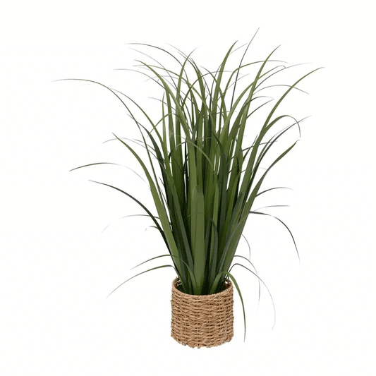 LIN BUNCH W BRAID POT ZYA H122