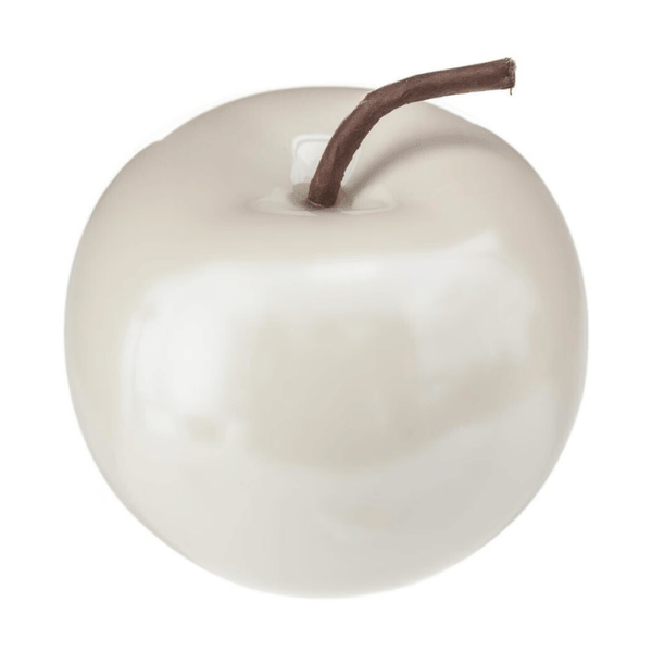 CELINE CRMC APPLE H10