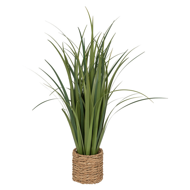 LIN BUNCH W BRAID POT ZYA H91