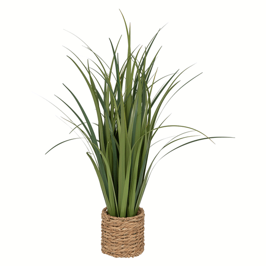 LIN BUNCH W BRAID POT ZYA H91