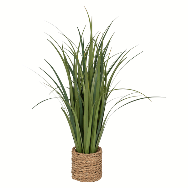 LIN BUNCH W BRAID POT ZYA H91