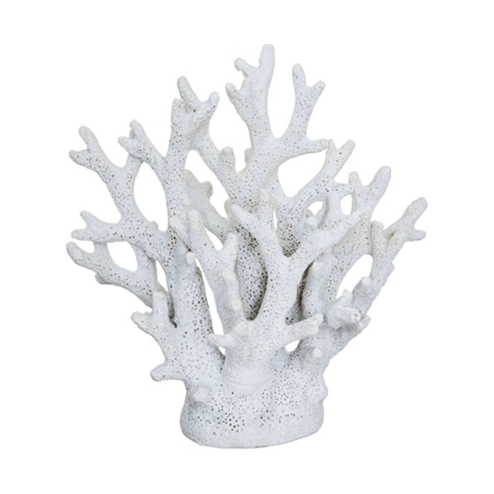 DECO CORAL RSN OCEA H17