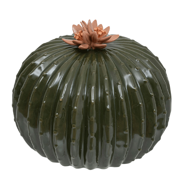 PANAMA BALL CERAMIC CACTUS H15