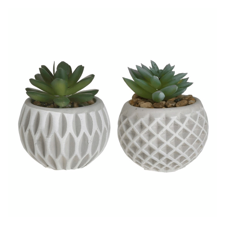 SUCCULENT CEMENT POT D8XH9