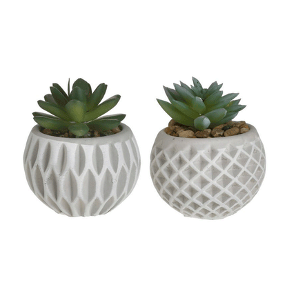 SUCCULENT CEMENT POT D8XH9