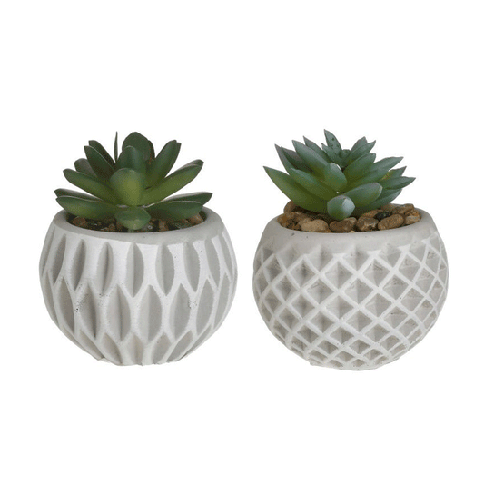 SUCCULENT CEMENT POT D8XH9