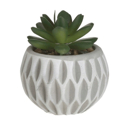 SUCCULENT CEMENT POT D8XH9