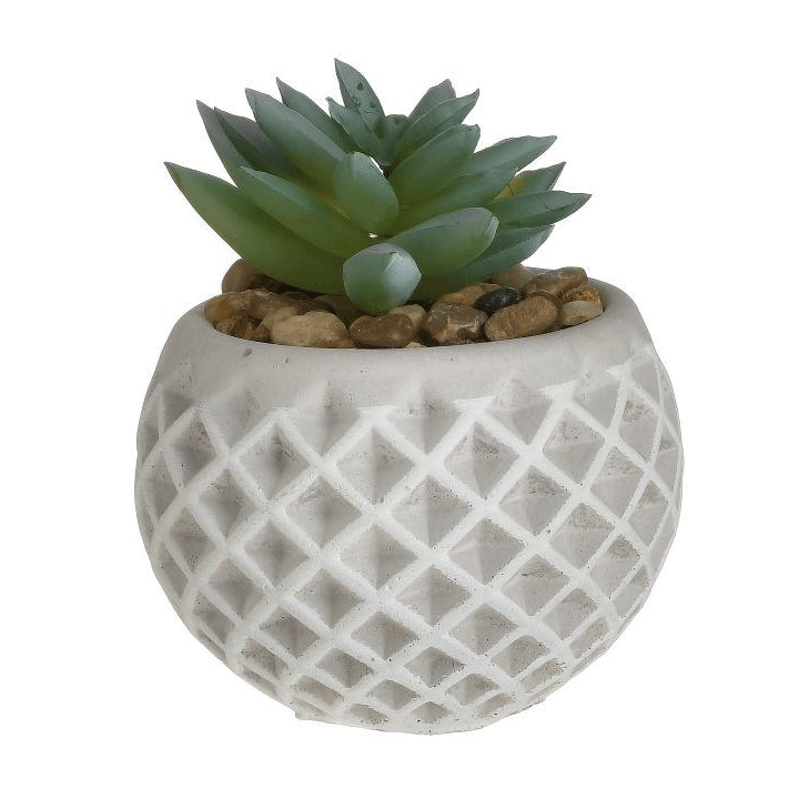 SUCCULENT CEMENT POT D8XH9