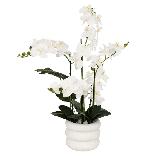 WHITE CERAMIC POT ORCHID MICK H80